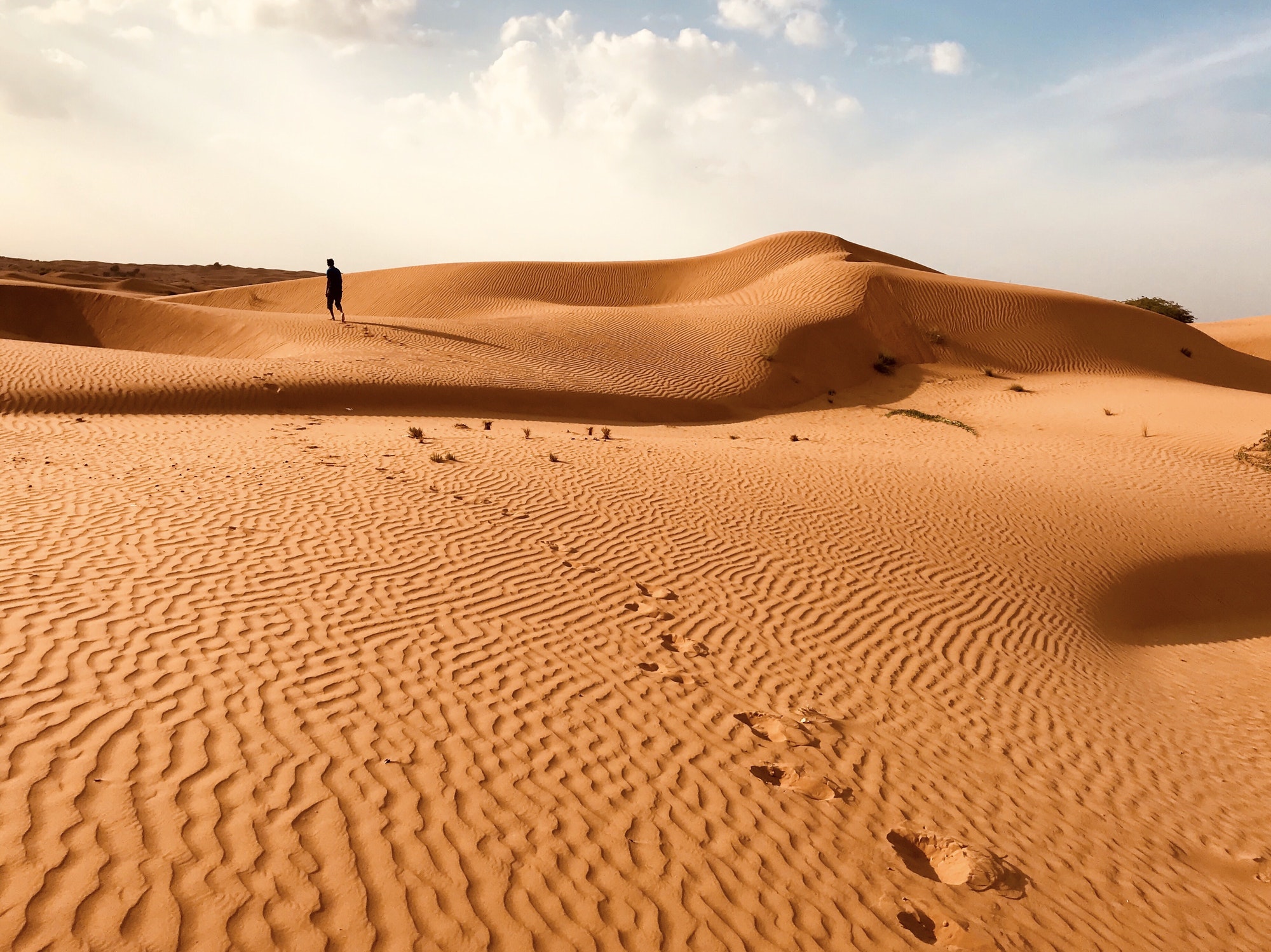 In the desert